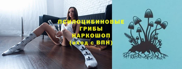 дурь Алзамай