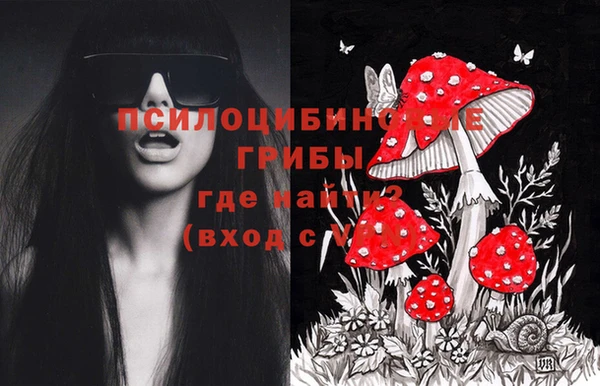 мяу мяу кристалл Алексин