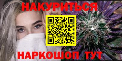 гашик Моздок