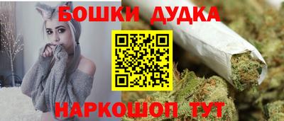 гашик Моздок