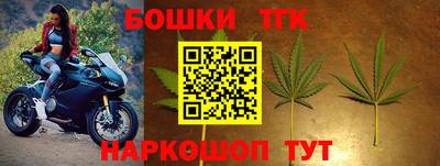 PSILOCYBIN Можга