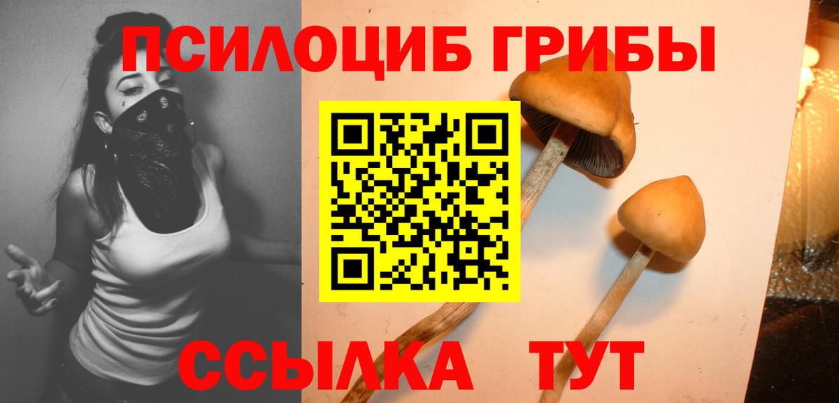 Псилоцибиновые грибы Magic Shrooms  Галлюциногенные грибы Psilocybine cubensis  Урюпинск  Вход с VPN 