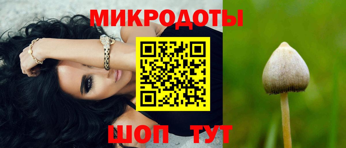 Псилоцибиновые грибы мицелий Урюпинск